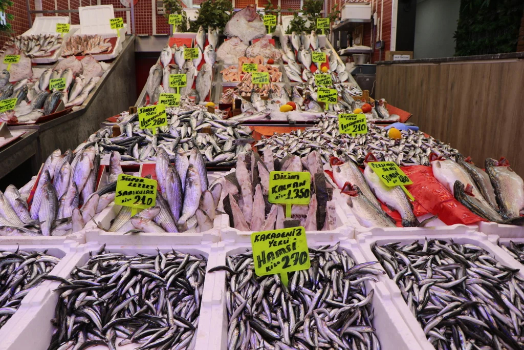 124421214Hamsi12412142