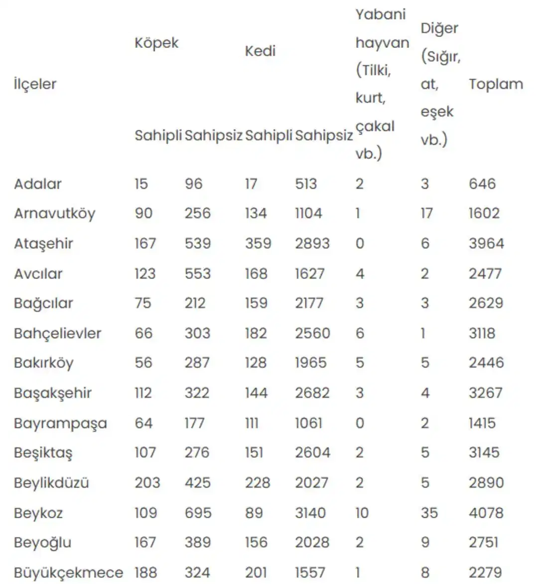 8C2Cb000 543A 4Db6 8705 612E5A27Edaa