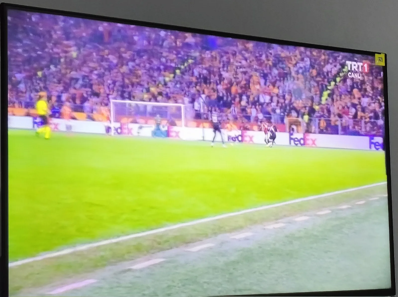 Whatsapp Image 2026 02 17 At 22 02 28