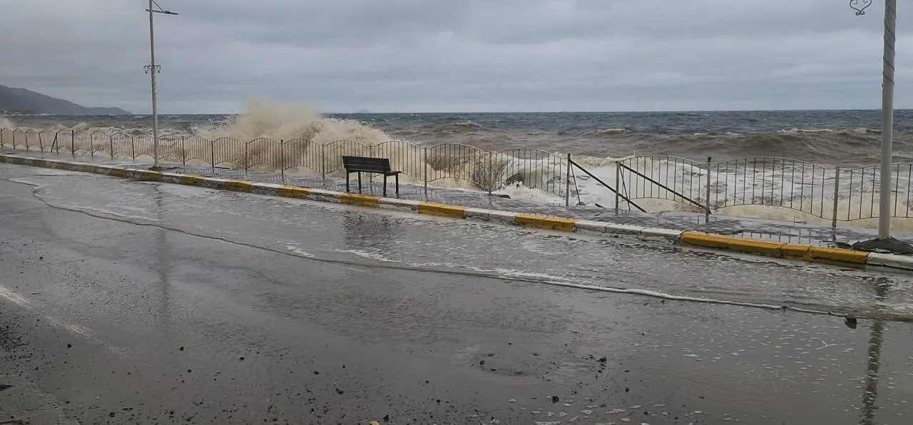 Yalovada Firtina Deniz Tasti Balikci 1175260 349104