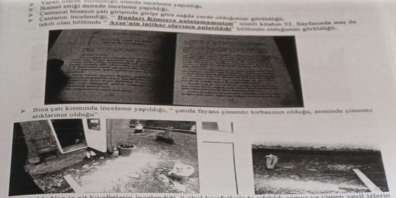 A2-229