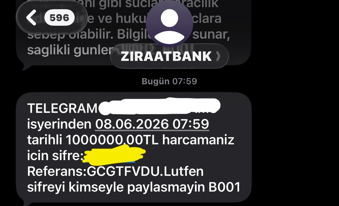 T1-233