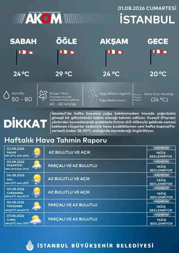 H1-119