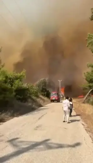 Adana2