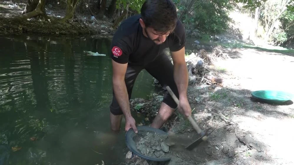 Altın Avcısı