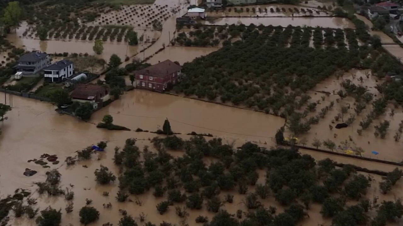 De5Aa1B7 08Bc 4629 B06A 2Ac237D0073E