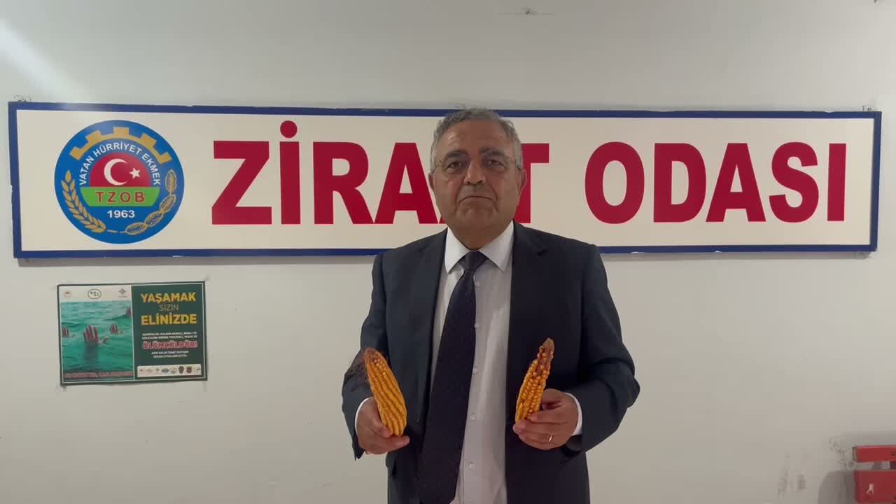 Mısır üreticisinin gözü fiyatta: Tanrıkulu’ndan hükümete çağrı!
