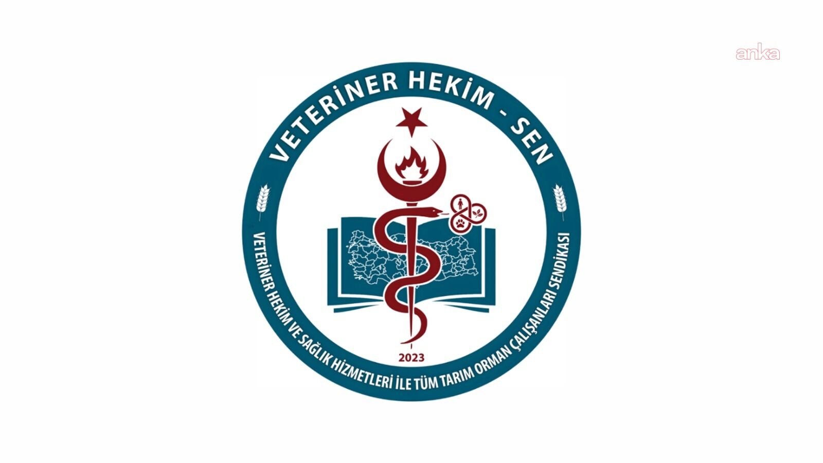 Veteriner hekimlerden Bakanlığa dikkat çeken talep: Kan alma ve serum hazırlama yetkisi istendi...