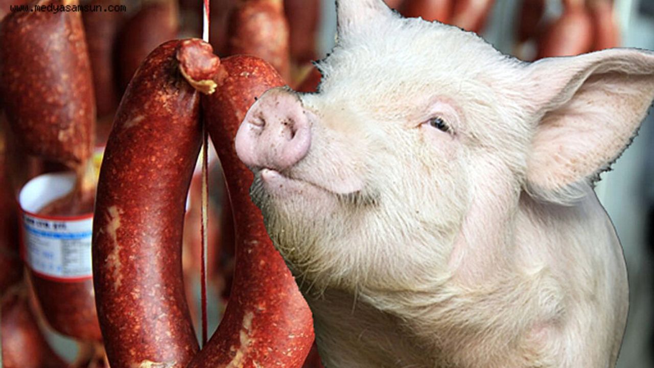 Aynı markada yine skandal! Sucukta domuz eti, peynirde mantar ilacı...