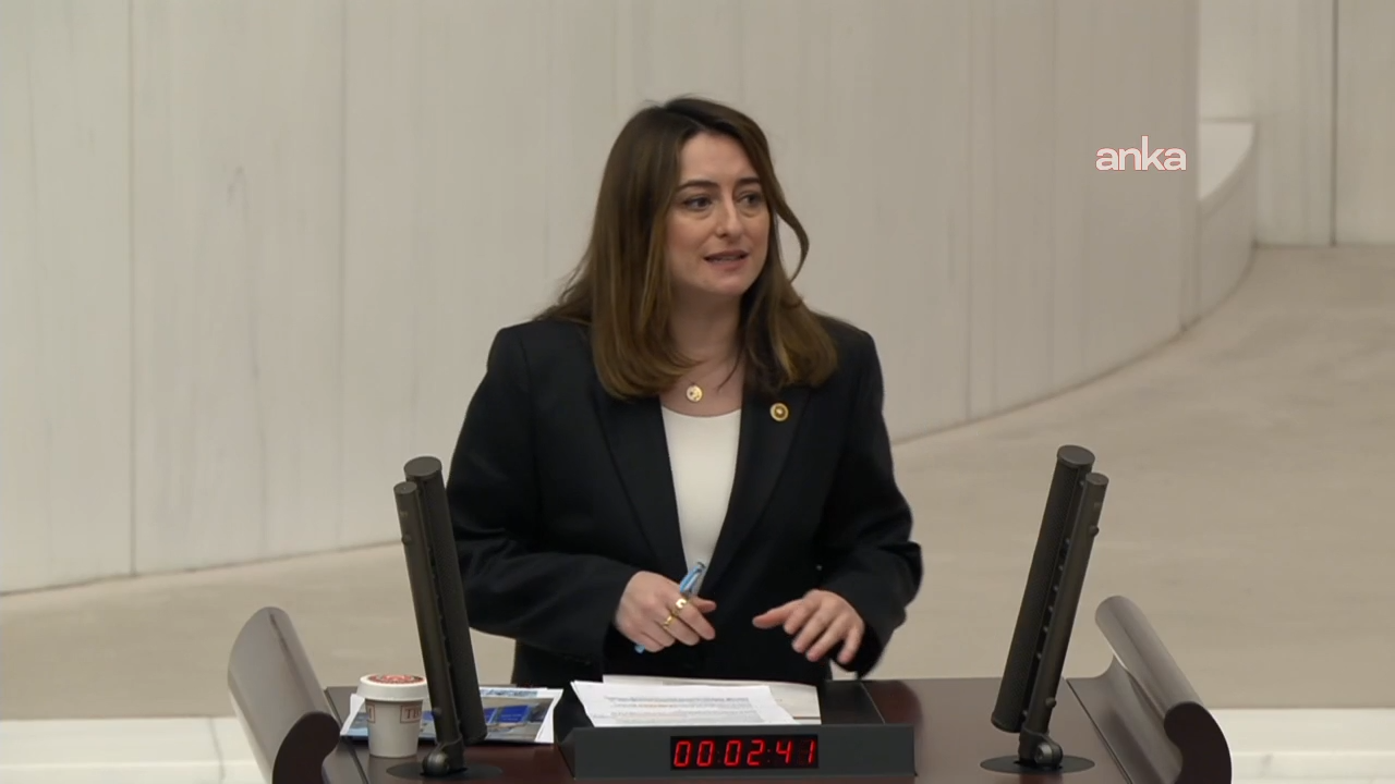 CHP'li Bankoğlu'ndan cinsel istismar tepkisi: Çocukları koruyamadığınız Meclis’te, hukuktan da bahsedemezsiniz