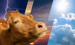 Kurban Bayramı tatili uzayacak mı? 9 gün beklentisi!