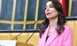 DEM Parti Eş Genel Başkanı Hatimoğulları: Bütün imkanlar yangınları söndürmek üzere gecikmeksizin seferber edilmeli