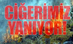 Muğla’da 53 orman, 23 ziraat yangını: 21 hektar alan zarar gördü