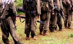 Metina'da hareketlilik! PKK'nın 4 kampını boşalttığı bildirildi