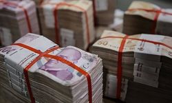 Fon vurgununda yaklaşık 750.000.000 TL'ye el konuldu