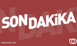 Artvin'de çığ düştü! Validen açıklama