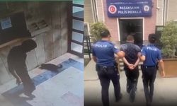 Kediyi vahşice öldürdü, gözaltına alındı
