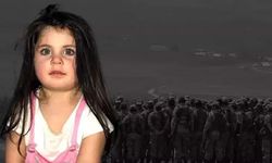 Leyla Aydemir davasında 8 sene sonra yeni gelişme! Amca tutuklandı...