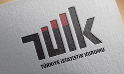 TÜİK'ten gelen telefonu kapatınca az kalsın 18 bin 991 lira ceza yiyordu