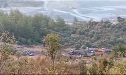 Akbelen’de kökünden sökülen 151 zeytin ağacının kıyımına AKP'li isim onay vermiş!