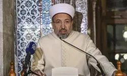 Safi Arpaguş 7 ayda 13 kez yurt dışına gitti, Anıtkabir'e gidemedi