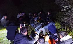 Türkiye'de 5 senede yakalanan göçmen sayısı açıklandı