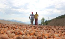 Fındık ihracatında sert düşüş: Tarihi gerileme yaşandı