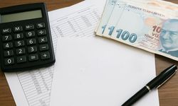 Vergi Denetim Kurulu, KURGAN ile denetim avına çıkıyor