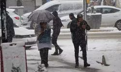 Mayıs ayında lapa lapa kar yağacak!