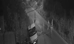 Babaanne ve 2 torunu katledilmişti! Görüntüler ortaya çıktı