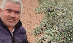 Oturduğu binanın asansörü sonu oldu