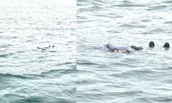 İstanbul Boğazı’nda ceset bulundu! Kaptan 'Canlı mısın hey yaşıyor musun' diye seslendi