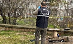 Millet bahçesinde bir kişi ölü bulundu