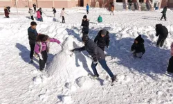 27 okulda kar tatili: Yeni yılda kar yurdu etkisi altına aldı
