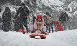 İşte kar tatili açıklanan okulların listesi
