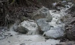 Bursa’da çevre felaketi