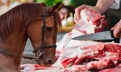 Bakanlık ifşa etti; sucuk yerine at, eşek ve domuz eti yedirmişler