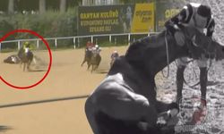 Jokey Muhammed Mir Bilgin yarışta şoka giren atını böyle ayağa kaldırdı