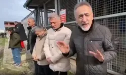 CHP'li Adıgüzel: Açlıktan birbirini yiyen köpekler, ortalıkta onlarca ceset vardı!