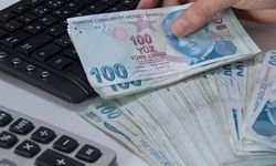 Bireysel Emeklilik Sistemi'nde devlet katkısı düşürüldü! İşte Resmi Gazete'de yayımlanan o karar...