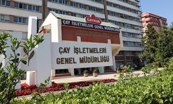 Çaykur'da çalışan sayısı düştü, personel harcamaları tavan yaptı