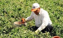 CHP'den 'çiftçiye destek' çağrısı