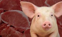 'Babamın hayrına' dedi, cami önünde binlerce kişiye domuz etli kavurma yedirdi