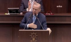 Cumhurbaşkanı Erdoğan'dan Nusaybin'de Türk bayrağına yapılan saldırıya tepki!