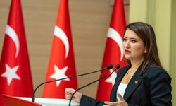 CHP'li Gökçen: 'Krizler özgür seçimlerden vazgeçme gerekçesi olamaz'