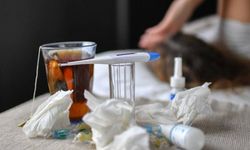 Grip ve nezlede alarm! 'Hastalığın zirve dönemindeyiz'