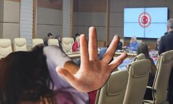 CHP'li vekil çocuk istismarını sordu, AKP'li vekiller rahatsız oldu!