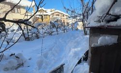 Karabük'te yaşlı kadın donarak hayatını kaybetti