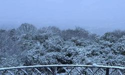 Yeni kar yağışı uyarısı! Prof. Dr. Orhan Şen 'evden çıkmayın' dedi