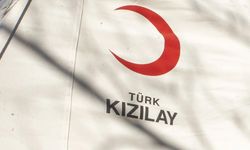 AKP’li başkan yardımcısı Kızılay’da üst düzey göreve atandı